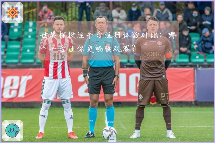 世界杯投注平台注册体验对比：哪个平台让你更畅快观赛？