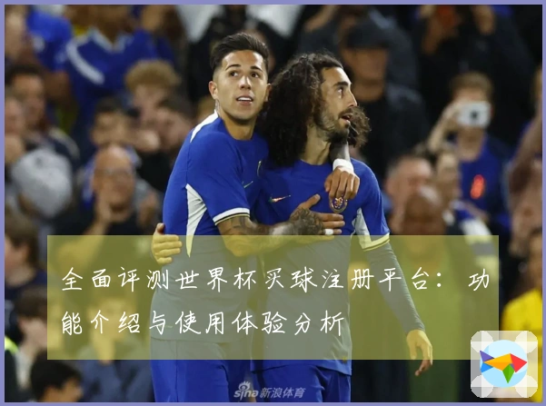 全面评测世界杯买球注册平台：功能介绍与使用体验分析