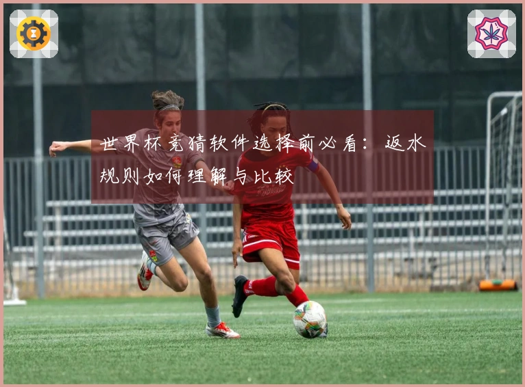 世界杯竞猜软件选择前必看：返水规则如何理解与比较
