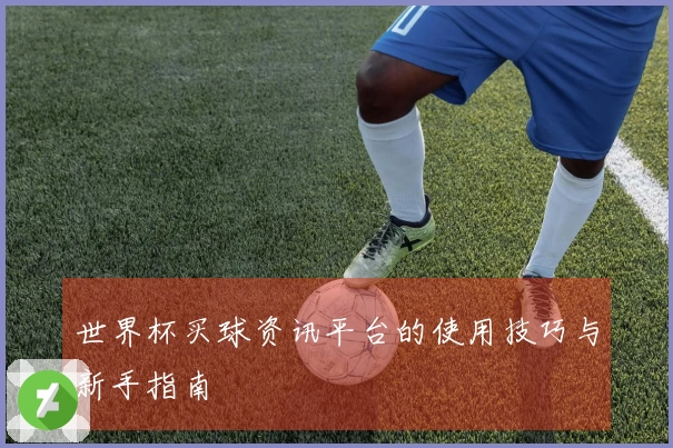 世界杯买球资讯平台的使用技巧与新手指南