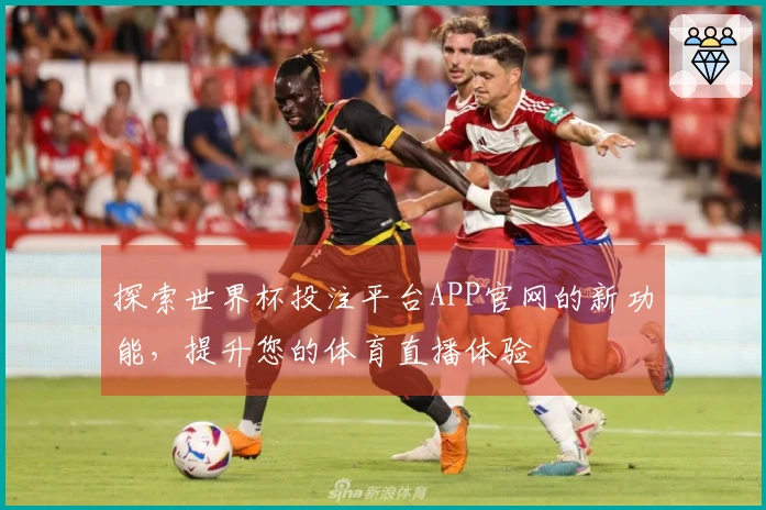 探索世界杯投注平台APP官网的新功能，提升您的体育直播体验