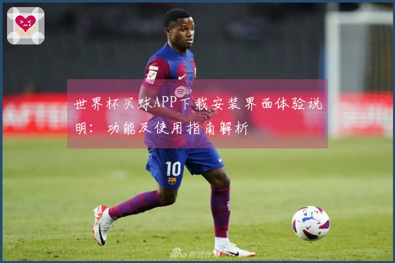 世界杯买球APP下载安装界面体验说明：功能及使用指南解析