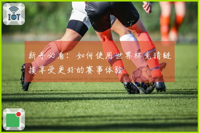 新手必看：如何使用世界杯竞猜链接享受更好的赛事体验