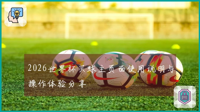 2026世界杯买球主页面使用说明与操作体验分享