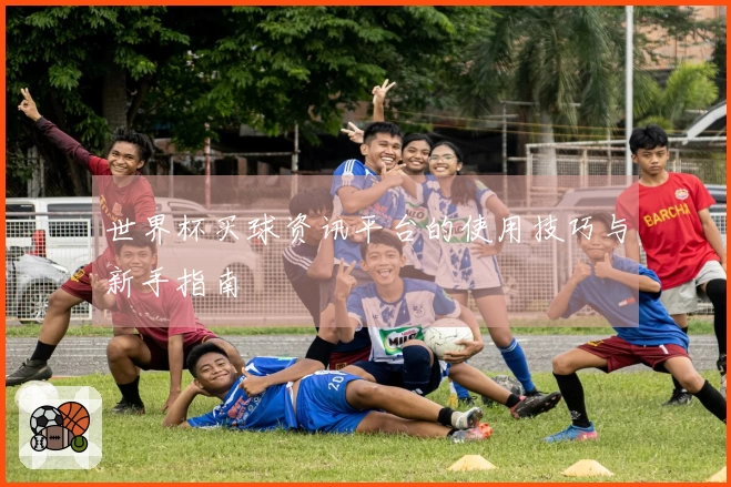 世界杯买球资讯平台的使用技巧与新手指南
