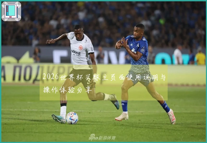 2026世界杯买球主页面使用说明与操作体验分享