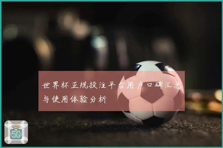 世界杯正规投注平台用户口碑汇总与使用体验分析