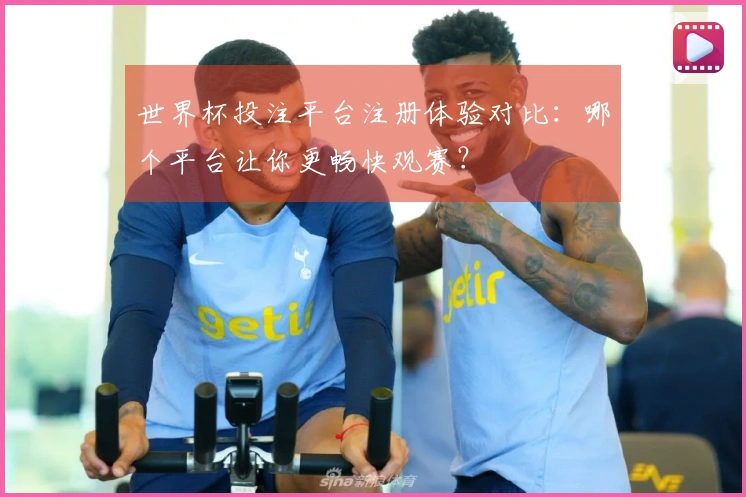 世界杯投注平台注册体验对比：哪个平台让你更畅快观赛？