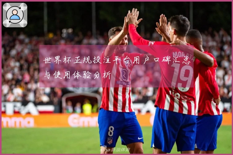 世界杯正规投注平台用户口碑汇总与使用体验分析