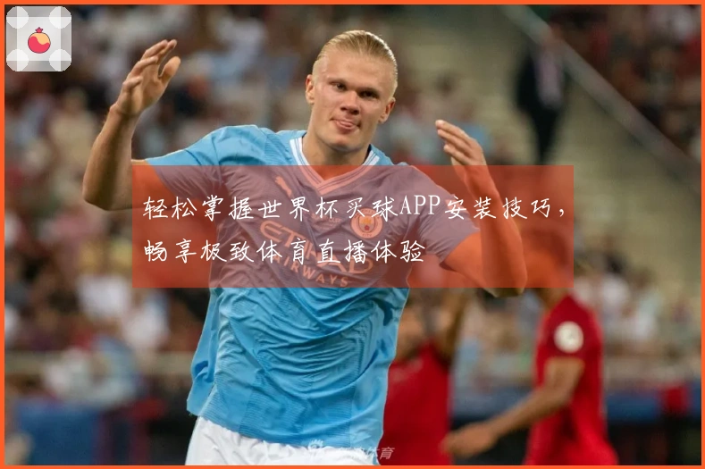 轻松掌握世界杯买球APP安装技巧，畅享极致体育直播体验
