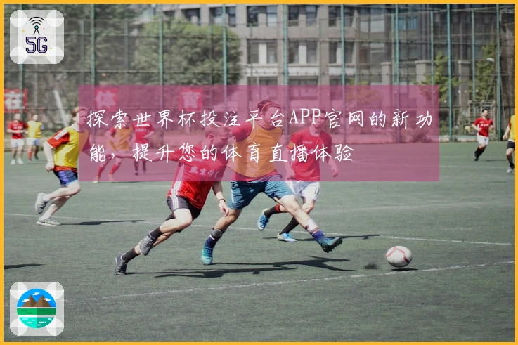 探索世界杯投注平台APP官网的新功能，提升您的体育直播体验